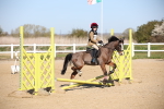 SBM_000733