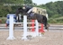 BPP_0253