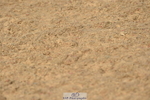 230409A-104226-00393
