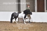 27TH JULY 2025 - CHARITY SHOW IN AID OF SSPCA - MUIRMILL EC portfolio