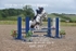 BPP_8977