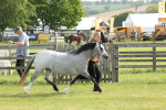 SBM_00622