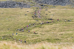Ingleborough-465