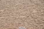 240720A-160618-15455