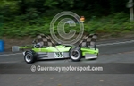 GUERNSEY MSA NATIONAL 2011 portfolio