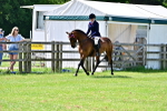 SBM_03786