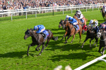 240824-Race 5-Elmonjed-1760