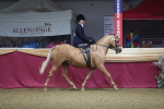 SBM_09342