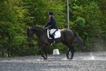 WJ5_9909