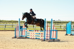 SBM_000365
