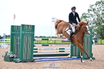 Cls 3 Snr Foxhunter portfolio