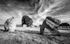 Avebury BW 1