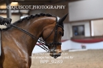 BPP_9289