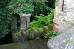 Buchan Park - 22