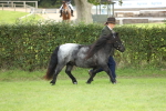 SBM_62738