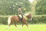 SBM_75337