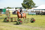 SBM_12734