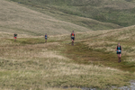 Sedbergh Hills-596