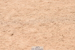 230628A-114000-00301