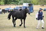 WJ6_5971