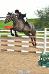 Saturday 12th Wessex Arena portfolio
