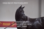 BPP_2444