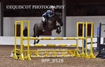 BPP_8528