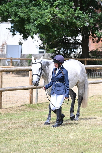 Class 4a Prettiest Mare 14.2hh and over hand