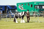 SBM_04112