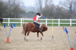 SBM_003818