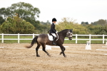 SBM_002603