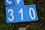230924A-111614-03778