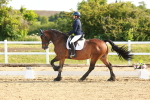 SBM_007038