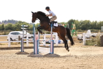 SBM_001408