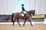 SBM_008387