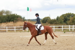 SBM_012113