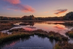 Evening on the Marsh