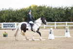 SBM_009128