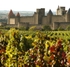 Vineyards outside Carcassonne