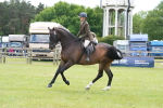 SBM_16250