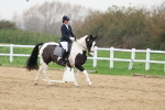 SBM_006801