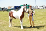 SBM_05534