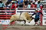 3HRodeo_CFD_JUL_18_2026_02081