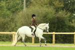 SBM_71906