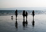 Seaside Silhouette