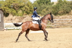 SBM_003005