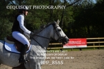 BPP_8555