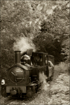 WLLR The Earl sepia
