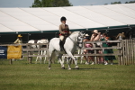 SBM_07661