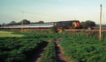 20th May 1991